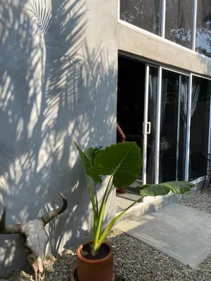 Jardín al aire libre en Casa Wil, La punta de Zicatela with wifi starlink