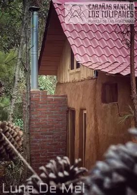 Edificio en el que se encuentra la casa o chalet
