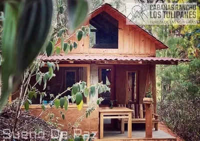 Edificio en el que se encuentra la casa o chalet