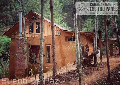 Edificio en el que se encuentra la casa o chalet