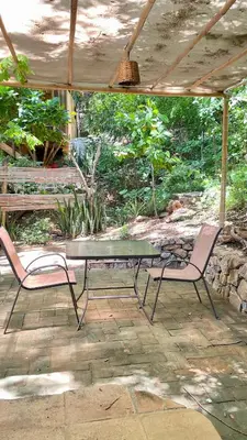 Jardín al aire libre en Charming Casa Pacifico with AC, Starlink and Great Location