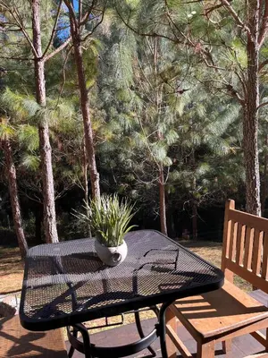 Jardín al aire libre en Tiny Cozy Cabin las moras