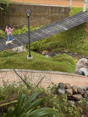 Jardín al aire libre en Tiny Cozy Cabin las moras