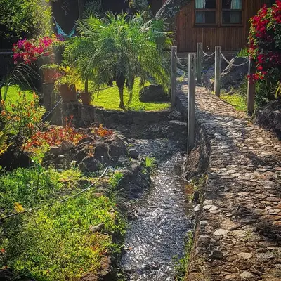 Jardín al aire libre en Casa Nora Malinalco - Entire Estate With heated pool