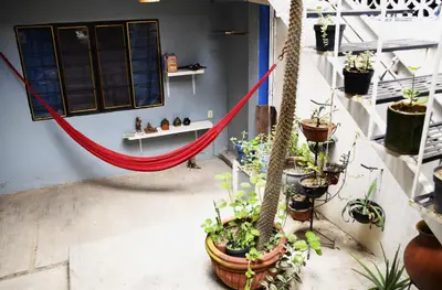 Plano de The Roots Flat Oaxaca Centro