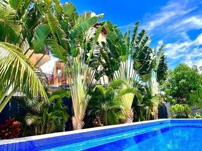 Piscina en o cerca de Casa Tsuki Moderna y Elegante en Punta Zicatela