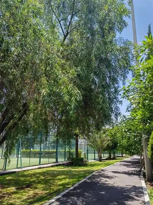 Plano de Departamento Parque Finsa, nuevo con cancha de Padel cerca de Volkswagen