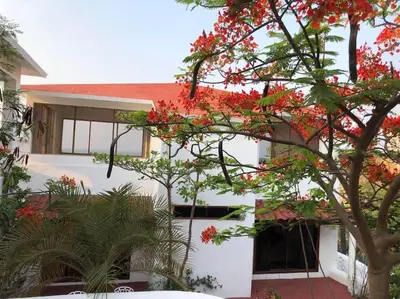 Jardín al aire libre en Oceanfront Oasis - Villa Margarita - Entire Villa