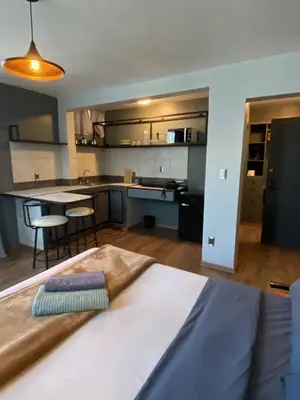 Una cocina o zona de cocina en Bright Studio Apartment Casa Icacos Apt 3