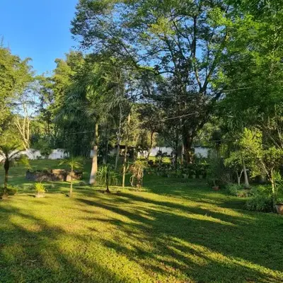 Jardín de los Anturios