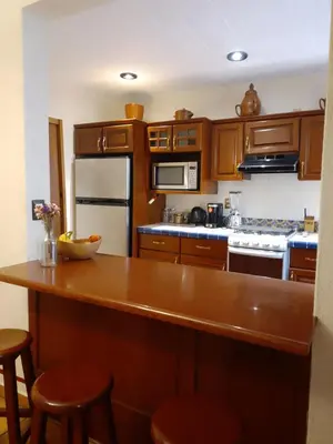 Una cocina o zona de cocina en Casa Zapoteca