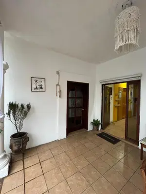 Plano de Agave Casa