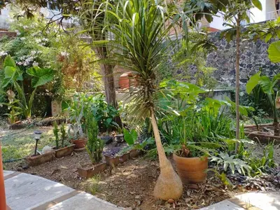 Jardín al aire libre en Linda Casa en Tepoztlan centro 1