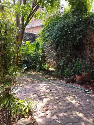 Jardín al aire libre en Linda Casa en Tepoztlan centro 1