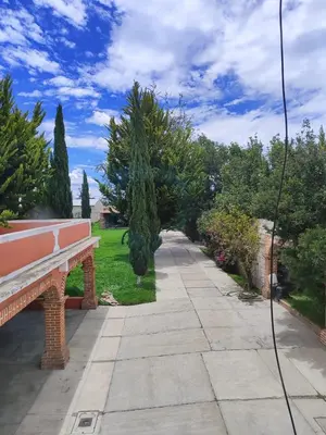 Jardín al aire libre en Departamentos del Jardín de Toribio