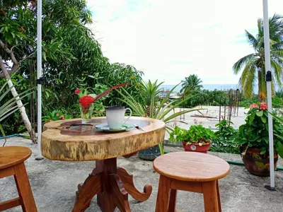 Jardín al aire libre en ESPERANZA Casa de Huéspedes