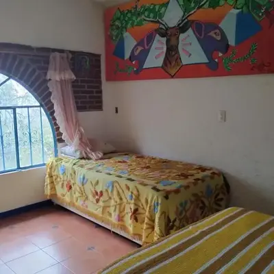 Eco Rooms Pablo's