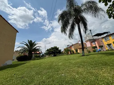 Plano de La Amazonia
