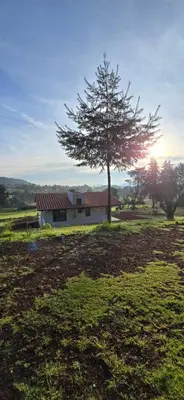 Plano de Chalet bosques de Zacatlan III