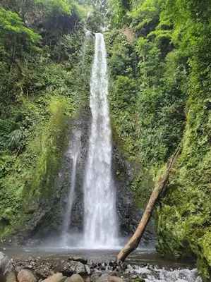 Paisaje cerca de este hotel