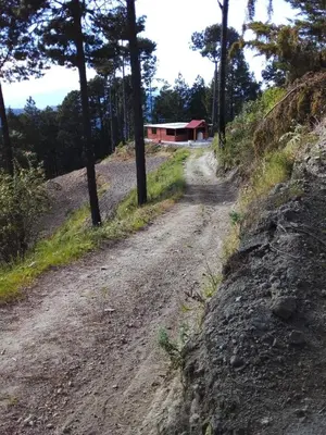Paisaje cerca de este camping