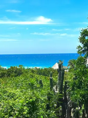 Plano de Bird Sanctuary