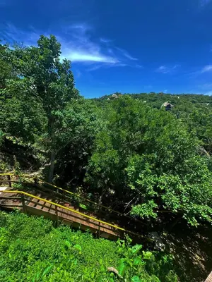 Plano de Bird Sanctuary