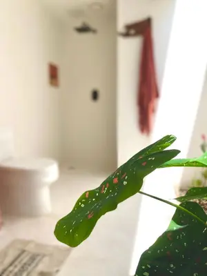 Un baño de Kasa Koh