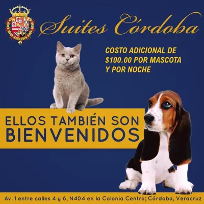 Mascotas con sus dueños en Hotel Suites Córdoba