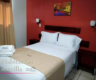 Cama o camas de una habitación en Hotel RENACIMIENTO