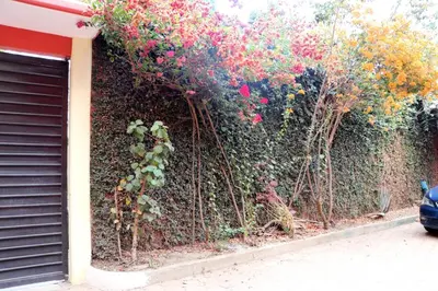 Jardín al aire libre en Departamento Bugambilias