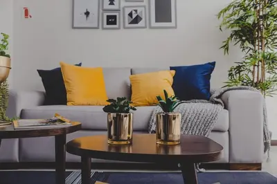 Plano de Departamento recién remodelado