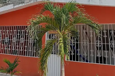 Edificio en el que se encuentra la casa o chalet