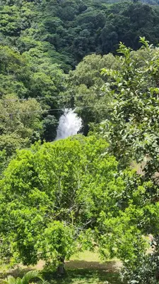 Paisaje cerca de este camping
