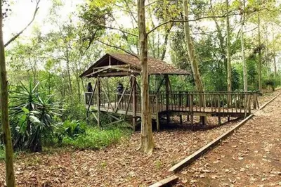 Jardín al aire libre en Casita Bosque Briones