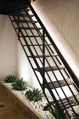 Plano de Casa Lomas