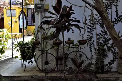 Jardín al aire libre en Yellow flat-estudio Oaxaca Centro
