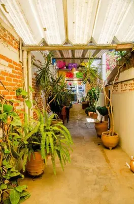 Jardín al aire libre en The Green Loft, Oaxaca Centro