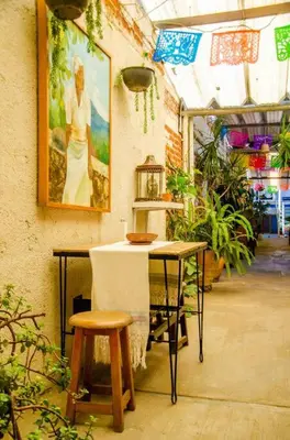 Jardín al aire libre en The Green Loft, Oaxaca Centro