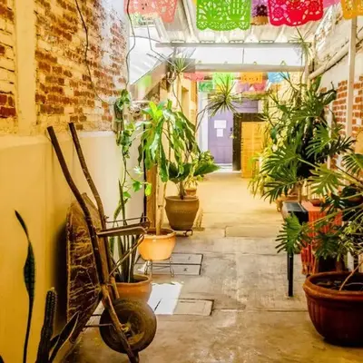The Green Loft