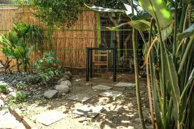 Jardín al aire libre en chill green beautiful downtown area TV good Wifi