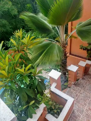 Jardín al aire libre en Recámara para dos personas, WiFi y piscina