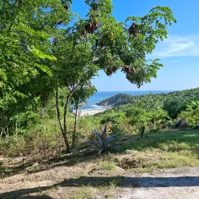 Paisaje cerca de este hostal o pensión