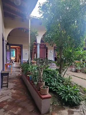 Jardín al aire libre en Casa Morfo Cultura