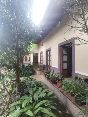 Jardín al aire libre en Casa Morfo Cultura