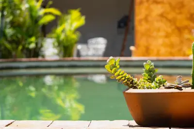 Piscina en o cerca de Casa Melrose