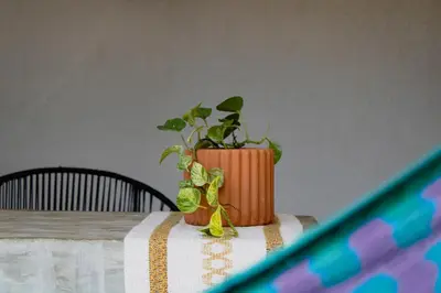 Plano de Casa Melrose