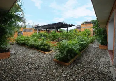 Jardín al aire libre en Casa Melrose