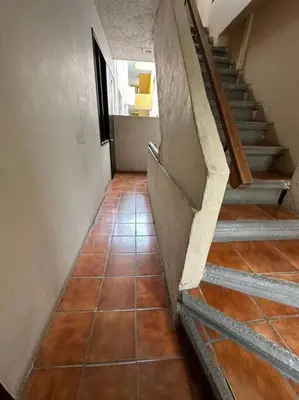 Plano de Departamento Colibrí