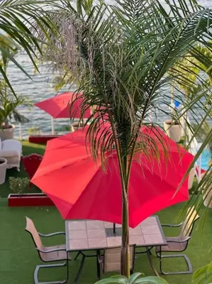 Jardín al aire libre en Casa Mediterránea, lujo y confort junto al lago